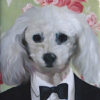 Poodle in Tuxedo Painting
