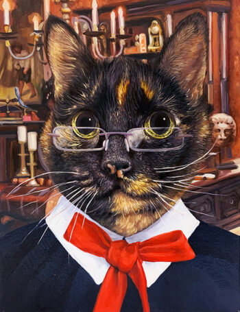 librarian cat portrait splendid beast