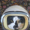 Feline painted like a space cadet
