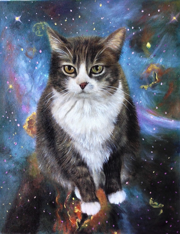 no costume deep space cat tee