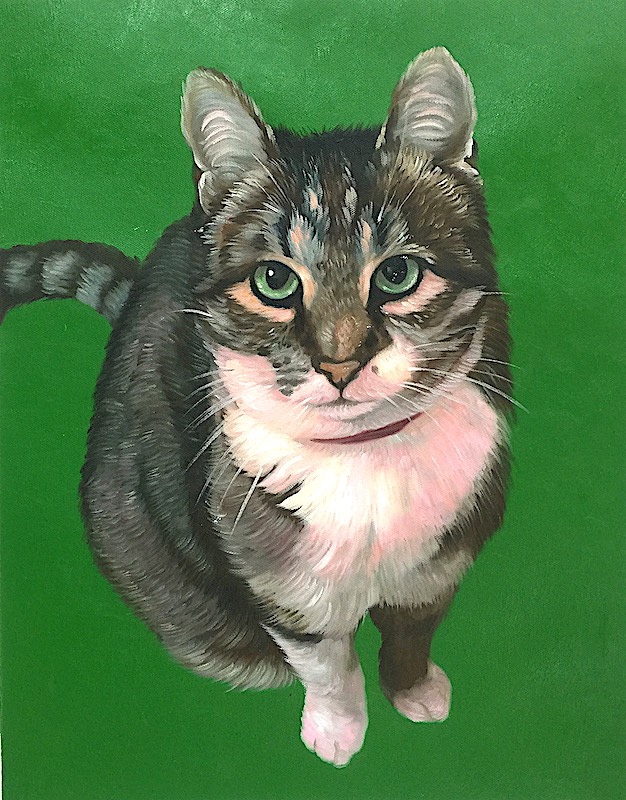 Cat Portrait with Green Background