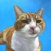 Cat Portrait with Light Blue Background