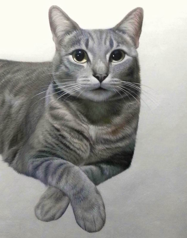 Grey cat painted with white background by Splendid Beast