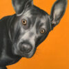 brown dog pet painting orange background