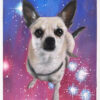 sparkles painting with dog
