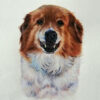 watercolor dog painting on white background