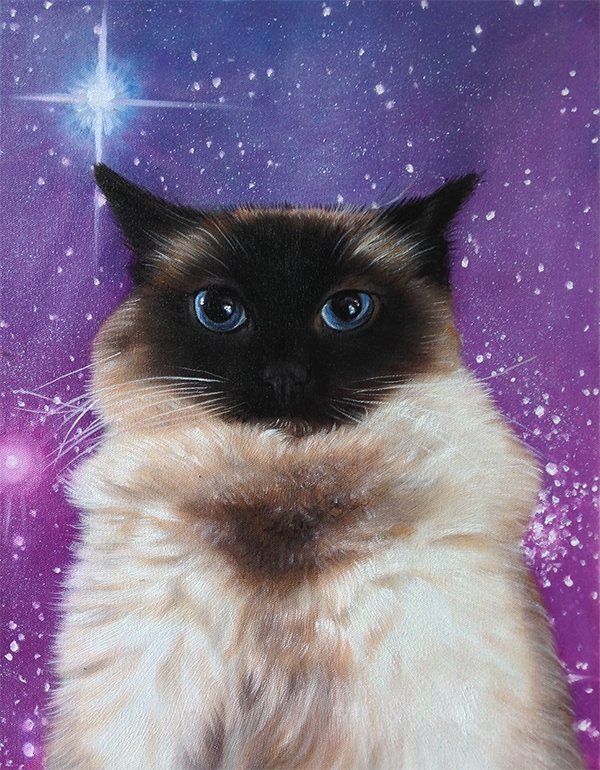 sparkles space cat painting