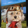 pet pilot portrait of dog
