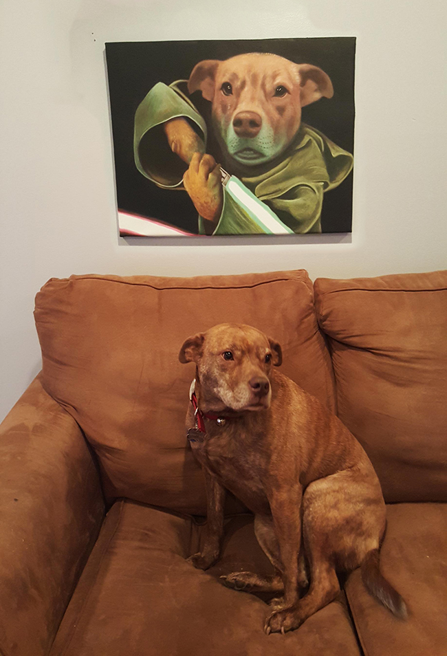 dog with painting as yoda
