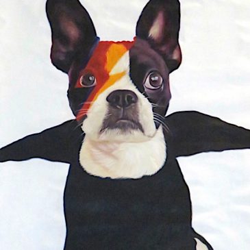 Dog painted as David Bowie from Aladdin Sane