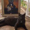 Lord Nelson Black Cat with Painting