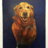 navy blue portrait of dog