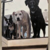 3 dog painting of photo