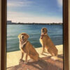 photo to painting of two dogs