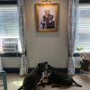 golden framed portrait with dogs