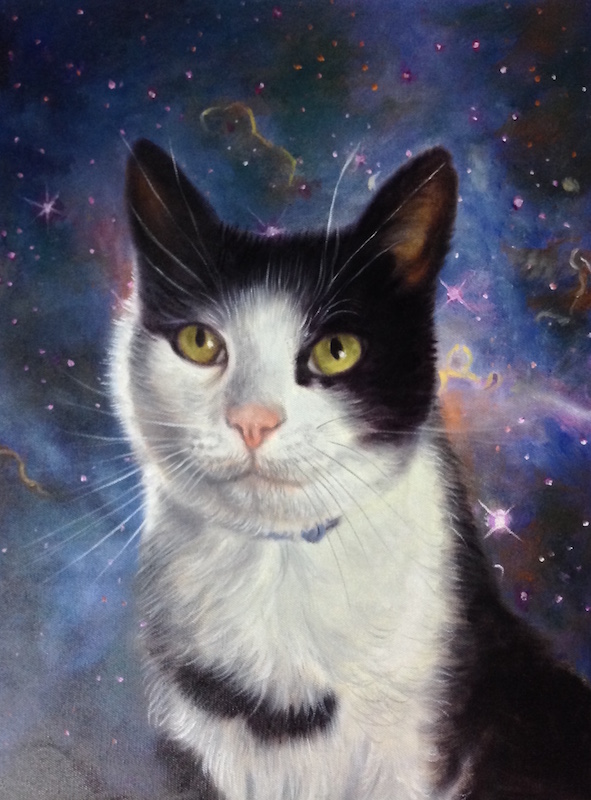 space cat art