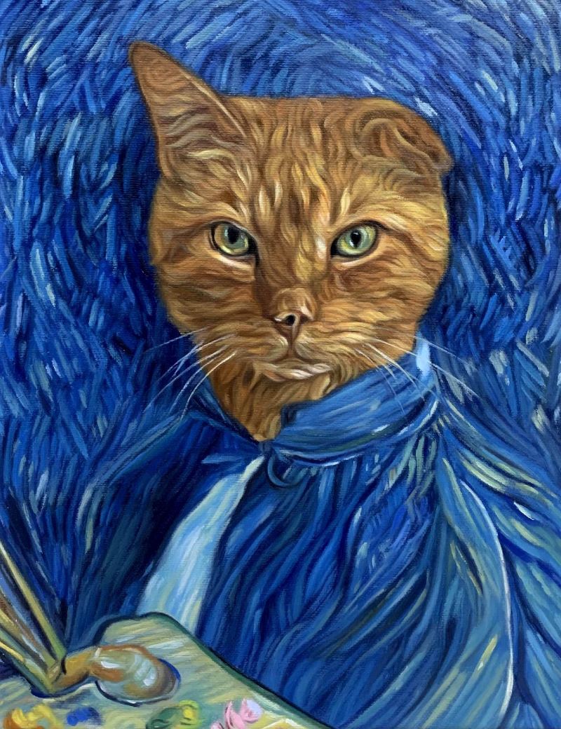 cat portrait splendid beast